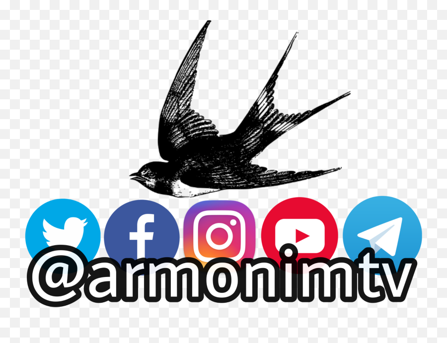 Armonimtv Photography Instagram Sticker By - Language Png,Facebook Twitter Instagram Logo
