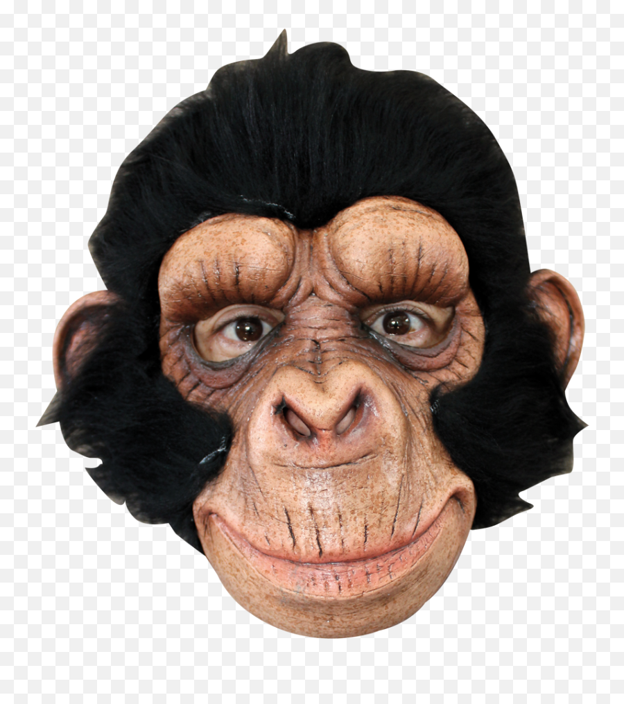 Chimp George - Monkey Mask Png,Chimpanzee Png