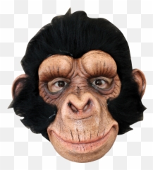 Chimp George - Monkey Mask Png,Chimpanzee Png