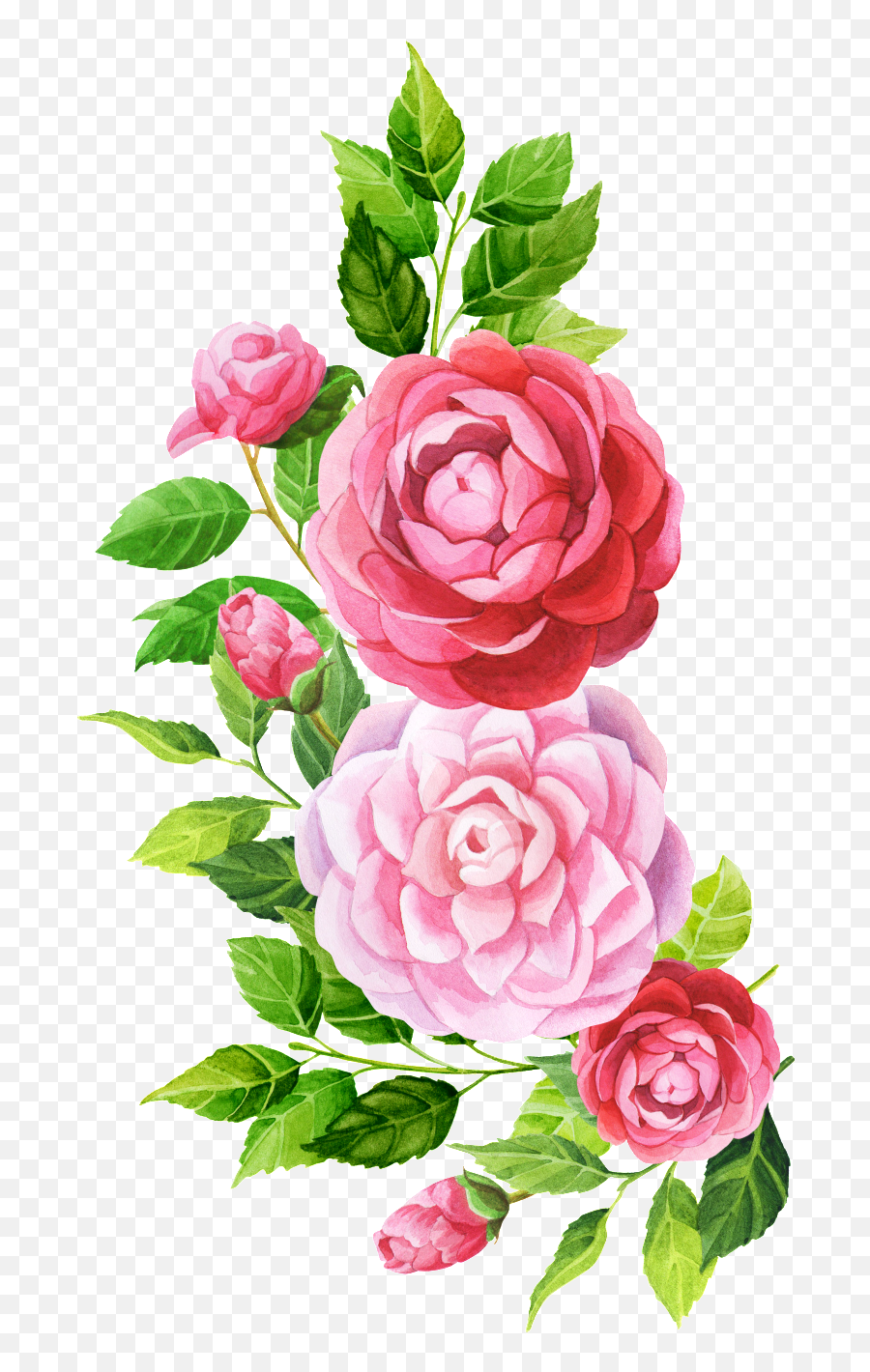 Download Hand Painted Pink Flower Png Transparent - Floral,Pink Flower Png