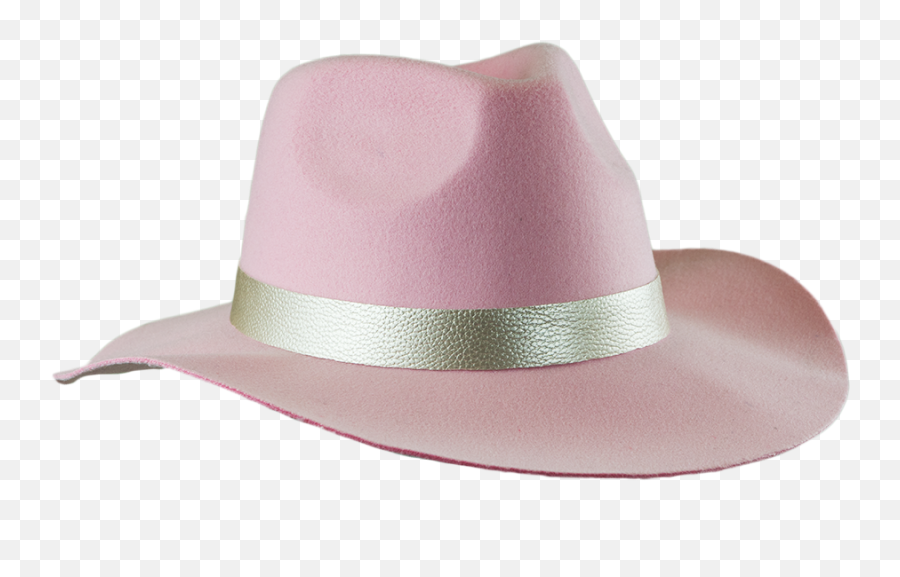 Download Gaga - 30 Pink Hat 3 Vu003d1506617578 Joanne Cover Wide Lady Gaga Joanne Hat Png,Fedora Hat Png