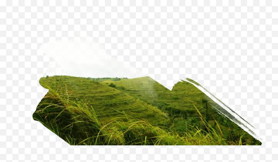 Among Limestone Hill And Reef In East - Mid Slope Png,Grass Hill Png