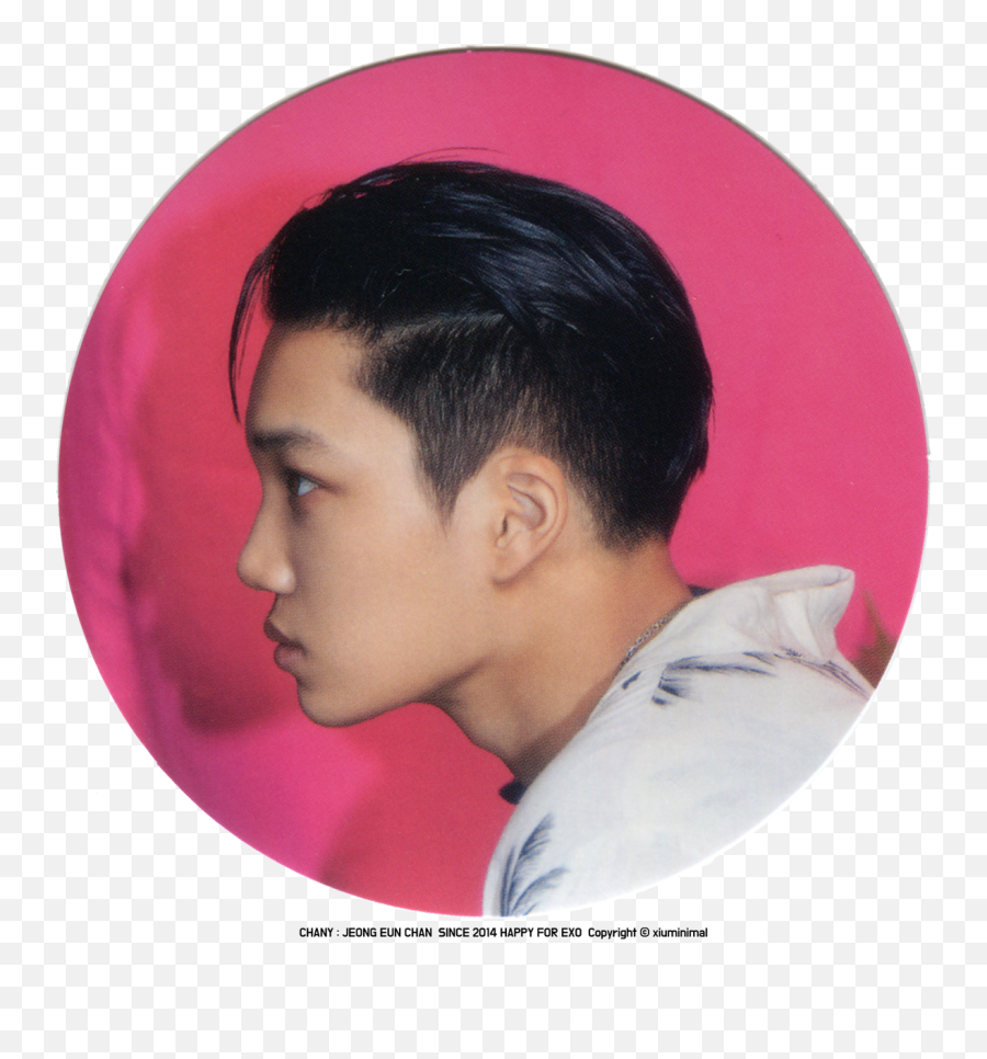 Exo Kokobop Stickers - Hair Design Png,Xiumin Icon