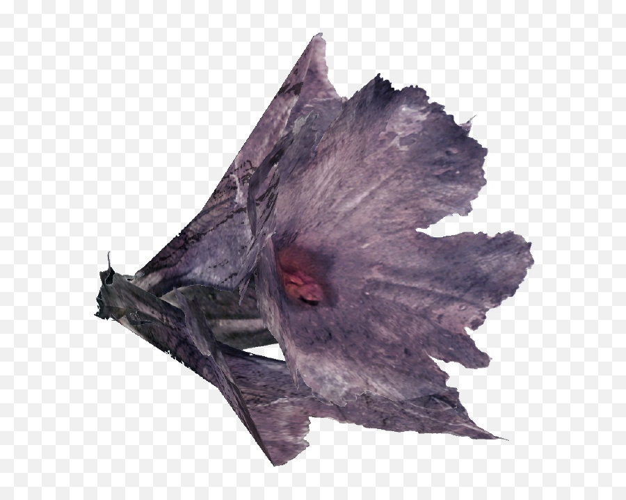 Melon Bloom - Fallout 76 Melon Bloom Location Png,Fallout 4 Honeycomb Icon