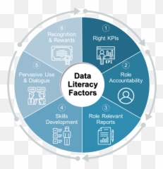 Develop Data Literacy In Learning Leaders - Training Industry Dutch Bros Coffee png