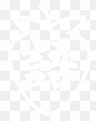 Tom Tucker Portfolio - Automotive Decal png