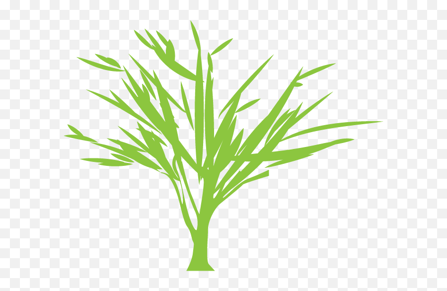 Tree Silhouette Euclidean Vector Green - Vector Graphics Png,Bamboo Leaves Png