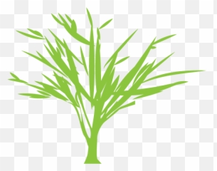 Tree Silhouette Euclidean Vector Green - Vector Graphics Png,Bamboo Leaves Png