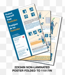 Non - laminated Folded Large Poster1 side Bilingual1 English or Spanish Vertical png