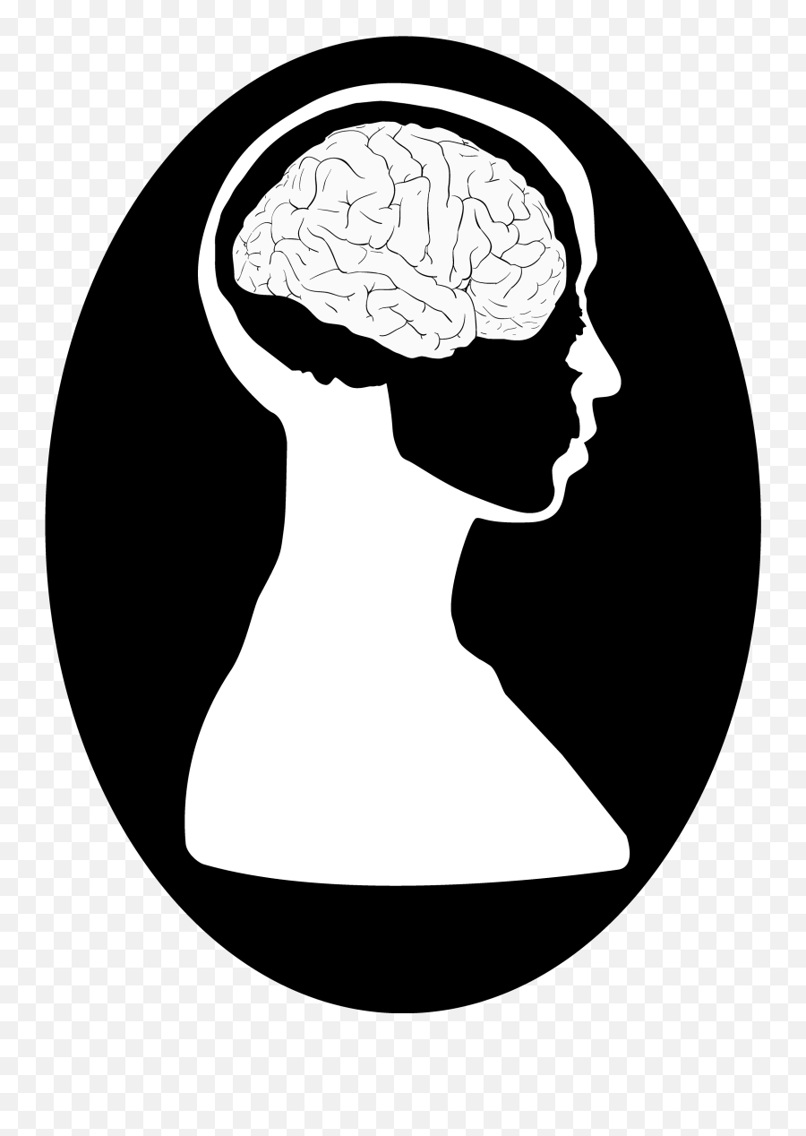 Logo Re - Design I Want To Draw Your Brains Brain In Head Png,Brain Logo