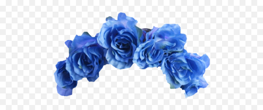 blue flower crown png