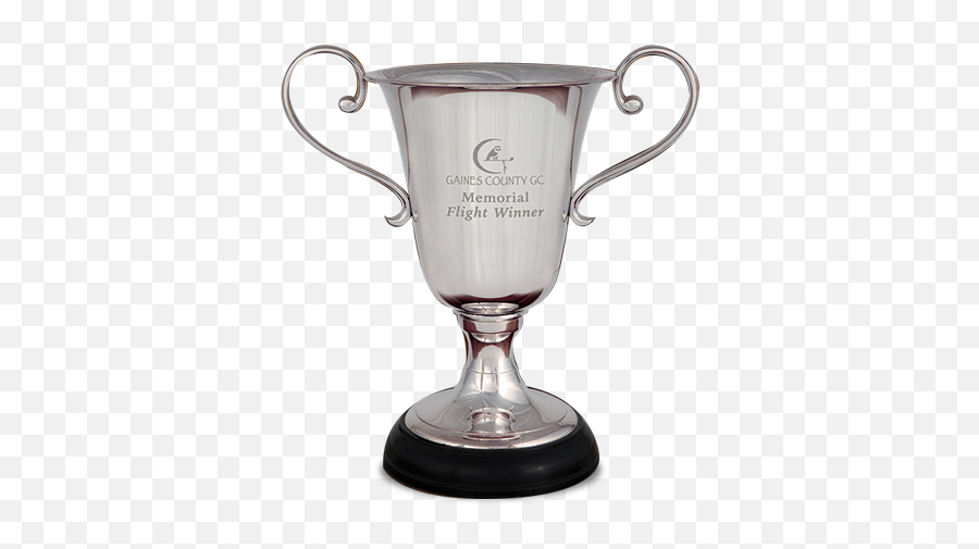 Advantage Cup - Trophy Png,Cup Png