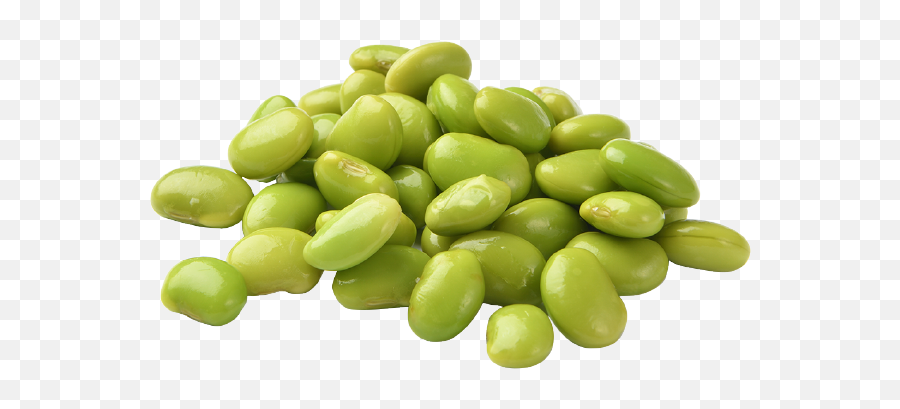 Edamame Png Transparent Edamamepng Images Pluspng - Edamame Png,Bean Png