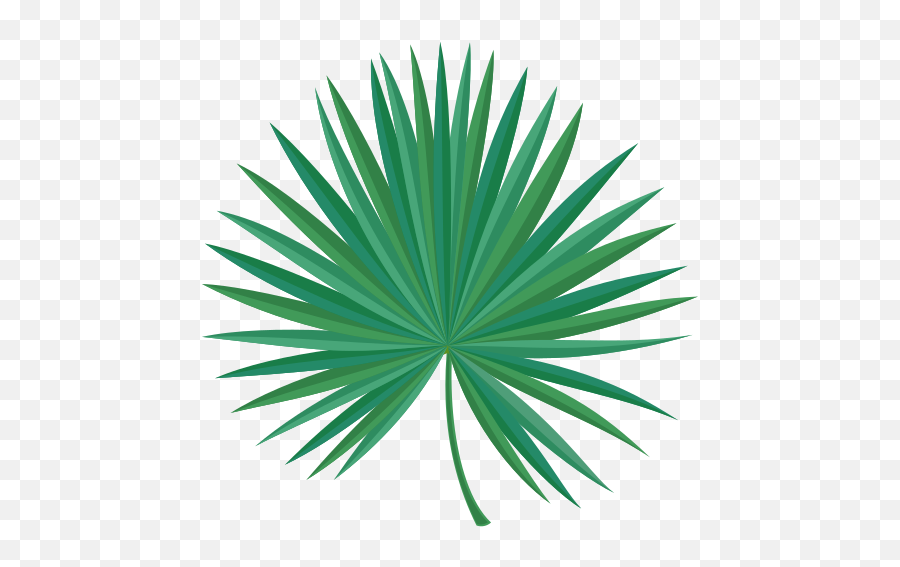 Hojas Vector Palma Picture - Saw Palmetto Png Hd,Palma Png