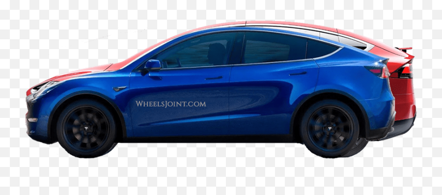 Tesla Model Y Body Size Comparison With - Model Y Vs Model X Size Png,Tesla Model 3 Logo