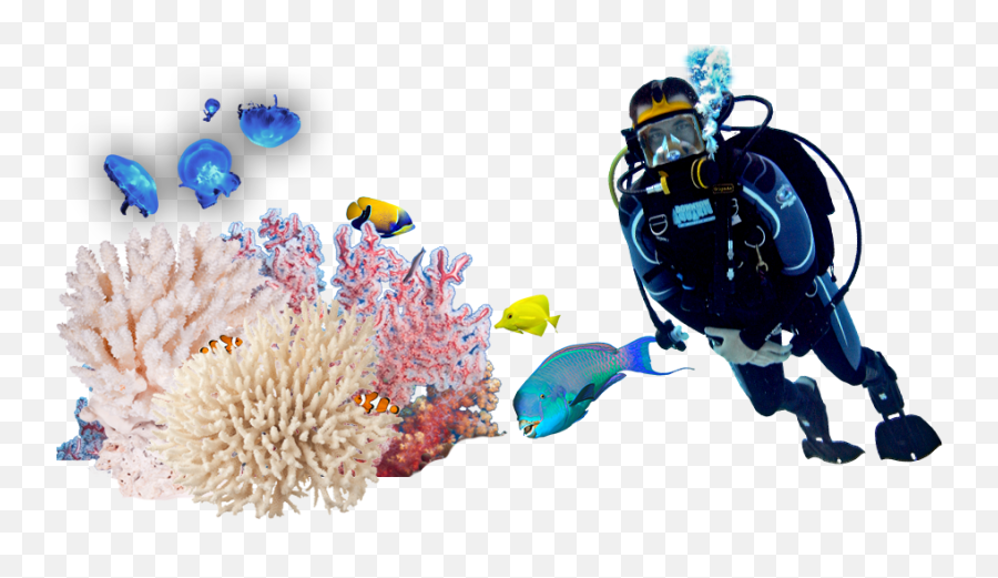 Underwater Scuba - Underwater Diving Png,Scuba Diver Png