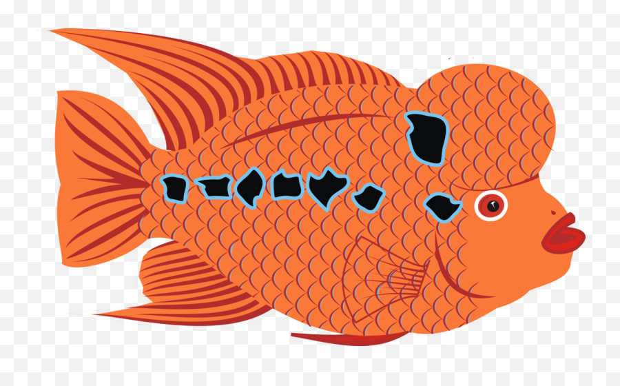 Artfoodfish Png Clipart - Royalty Free Svg Png Flower Horn Fish Vector,Fishes Png