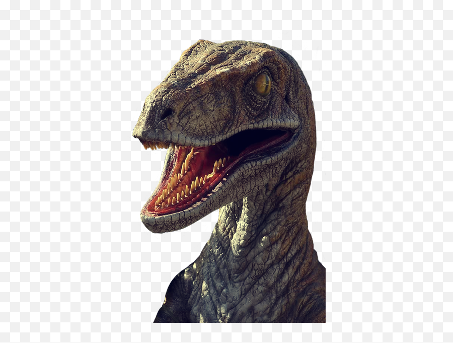 Raptor - Velociraptor Jurassic Park Png,Raptor Png