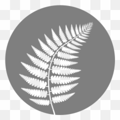 Hd Ferns Png Transparent Image - Vertical,Ferns Png