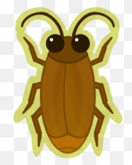 Roach Drawing Scientific Transparent U0026 Png Clipart Free - Weevil,Cockroach Png