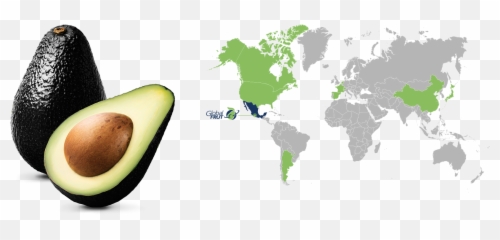 Download Clientes - World Map Full Size Png Image Pngkit World Map Png For Powerpoint,Aguacate Png
