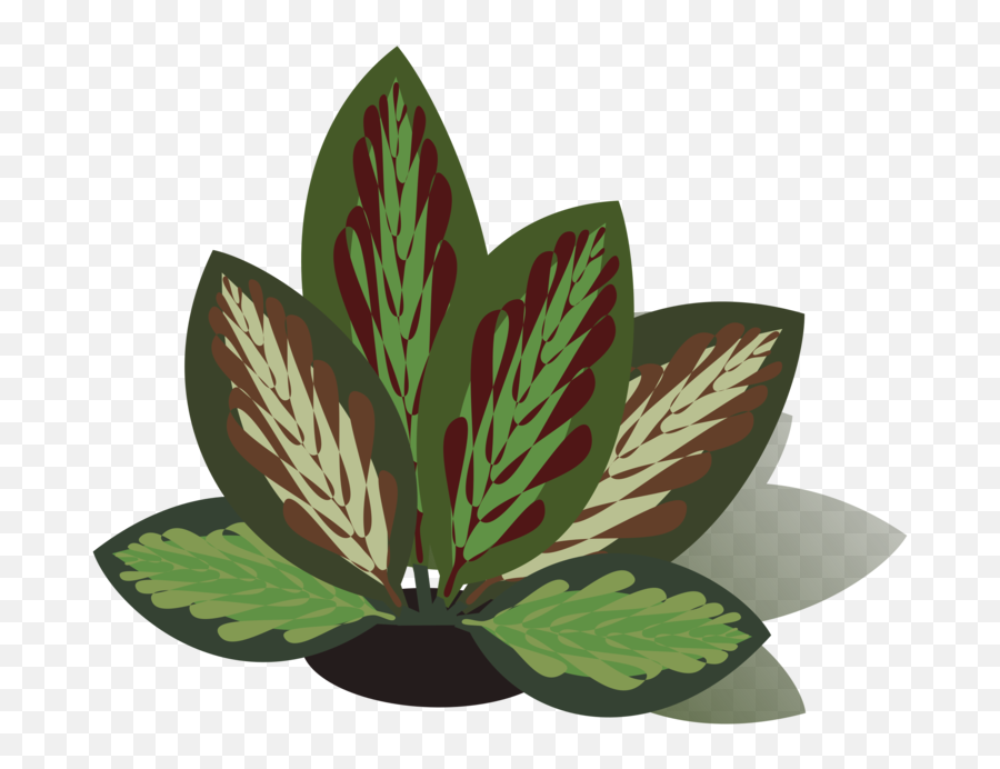 Herbplantleaf Png Clipart - Royalty Free Svg Png Clip Art,Herb Png