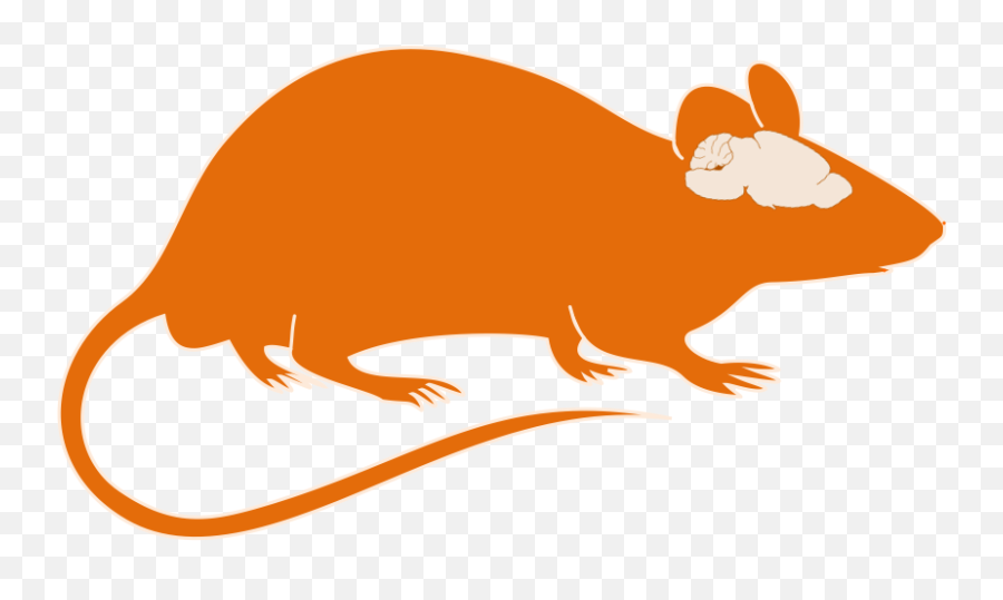 Mice Clipart Orange - Animal Clipart With Brain Png,Mouse Animal Png