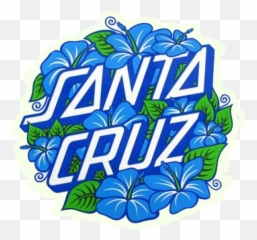 Santa Cruz Hibiscus Dot - Surf png
