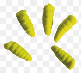 Waxies - Berkley png