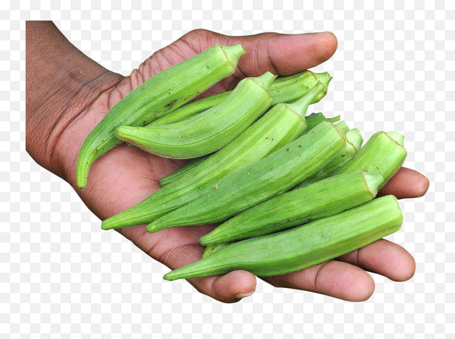 Hand With Okra Png Image Earth Clipart - Okra In Hand,Earth Clipart Png