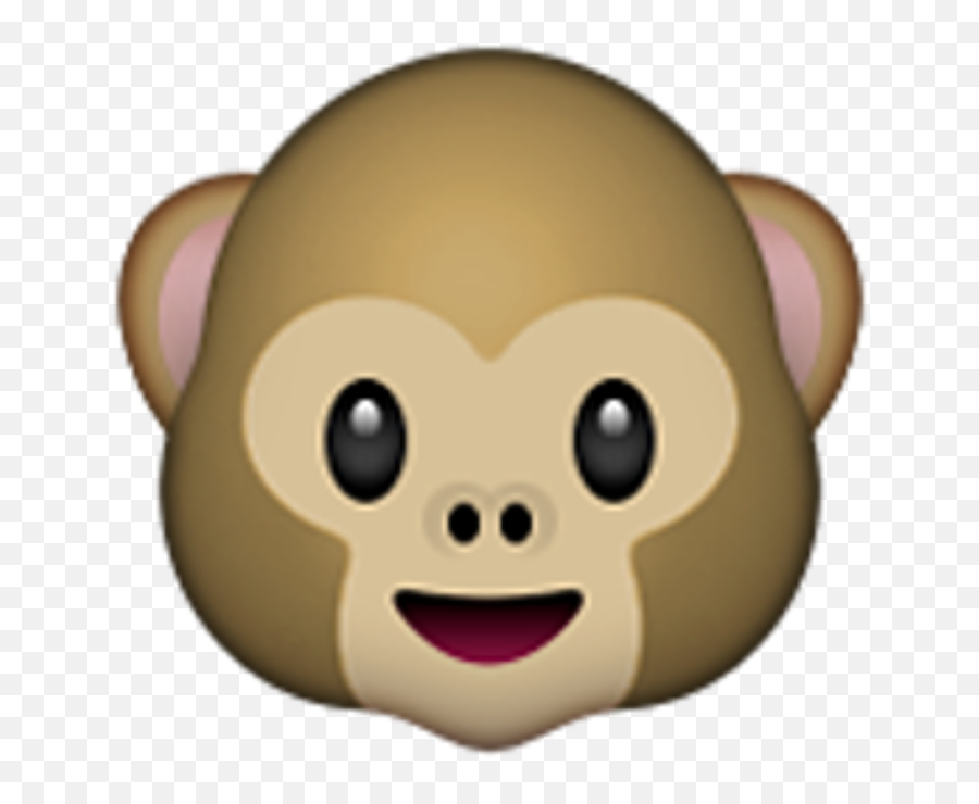 Profile Icon Emojis U2013 Seesaw Help Center - Transparent Monkey Emoji Png,Emoji Icon Pictures