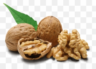 Download Walnut Png Image For Free - Walnuts Png,Walnut Transparent