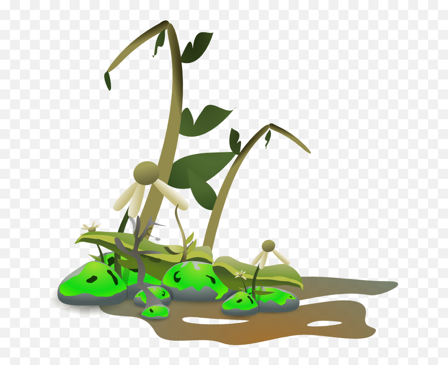 Died Cliparts 4 - 700 X 654 Webcomicmsnet Dead Plant Clipart Png,You Died Png