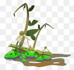 Died Cliparts 4 - 700 X 654 Webcomicmsnet Dead Plant Clipart Png,You Died Png