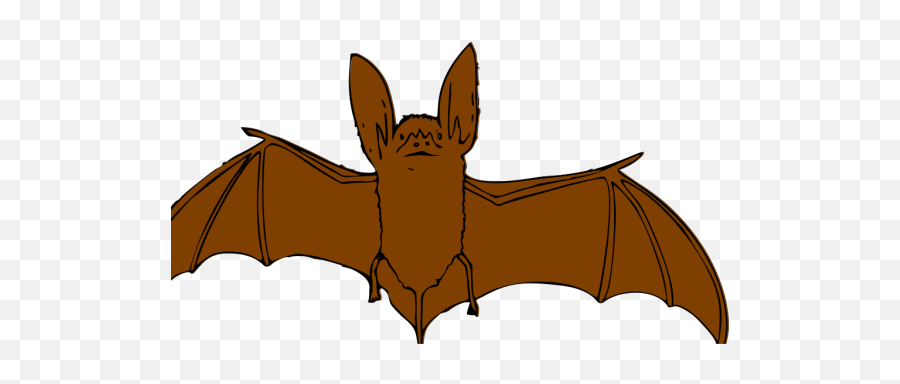 Brown Bat Png Svg Clip Art For Web - Download Clip Art Png Brown Bat Clipart,Cute Bat Icon
