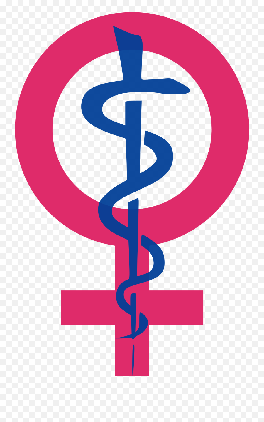 Filewomenu0027s Health Iconsvg - Wikimedia Commons Womens Healthcare Png,Medical Icon