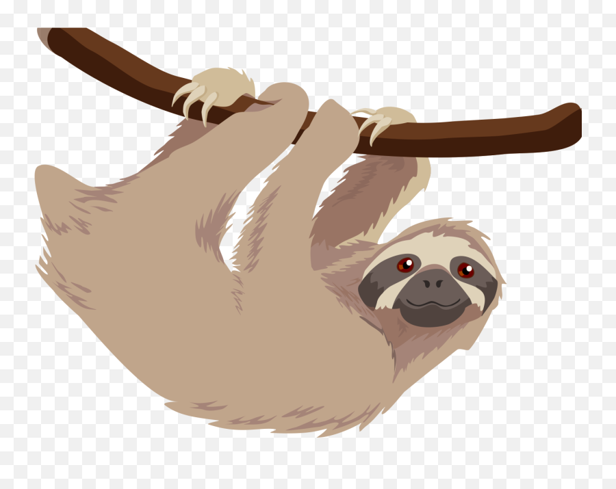 Sloth Png - Three Toed Sloth Clipart,Sloth Png