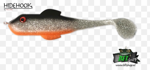Download Gulf Flounder Png Image With - Gulf Flounder,Flounder Png