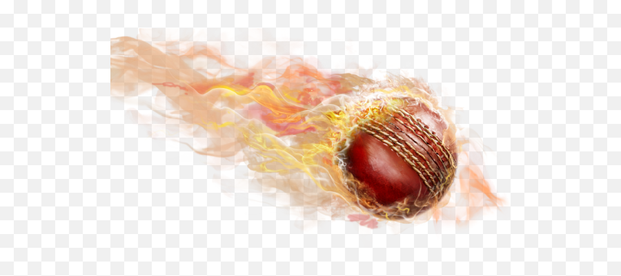Download Cricket Ball Fire Png - Fire Cricket Ball Png,Cricket Png