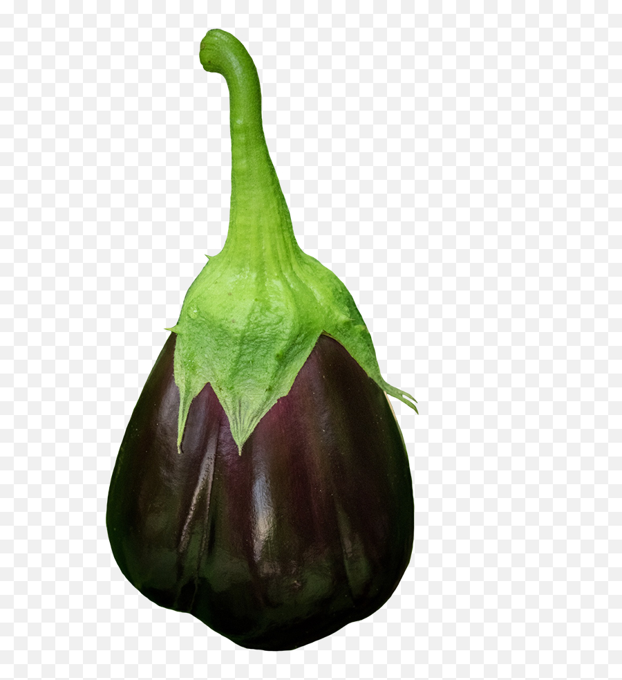 Vegetables Clipart - Gourd Png,Eggplant Transparent Background