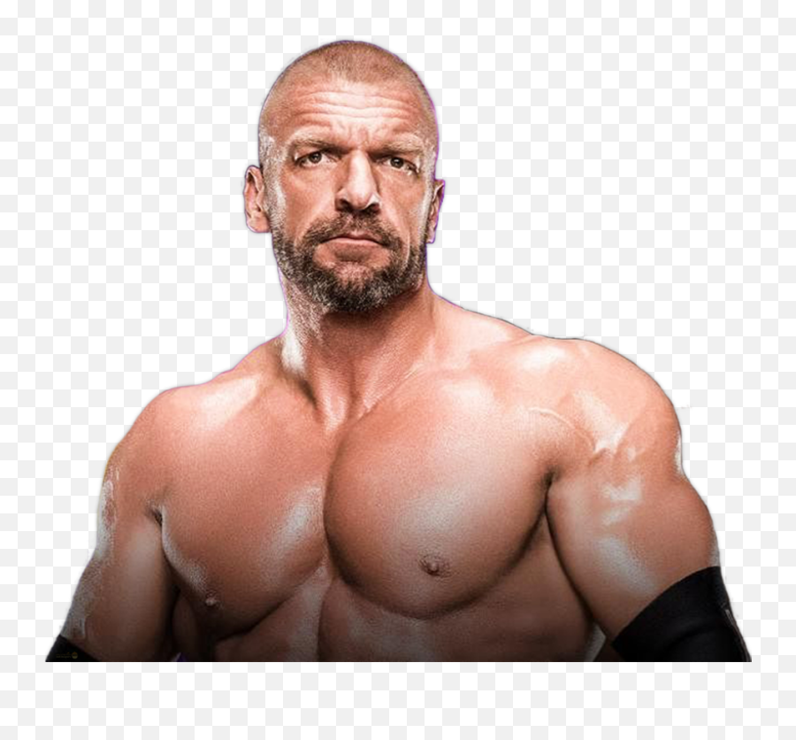 Triple H 2019 Png Render By Wwe