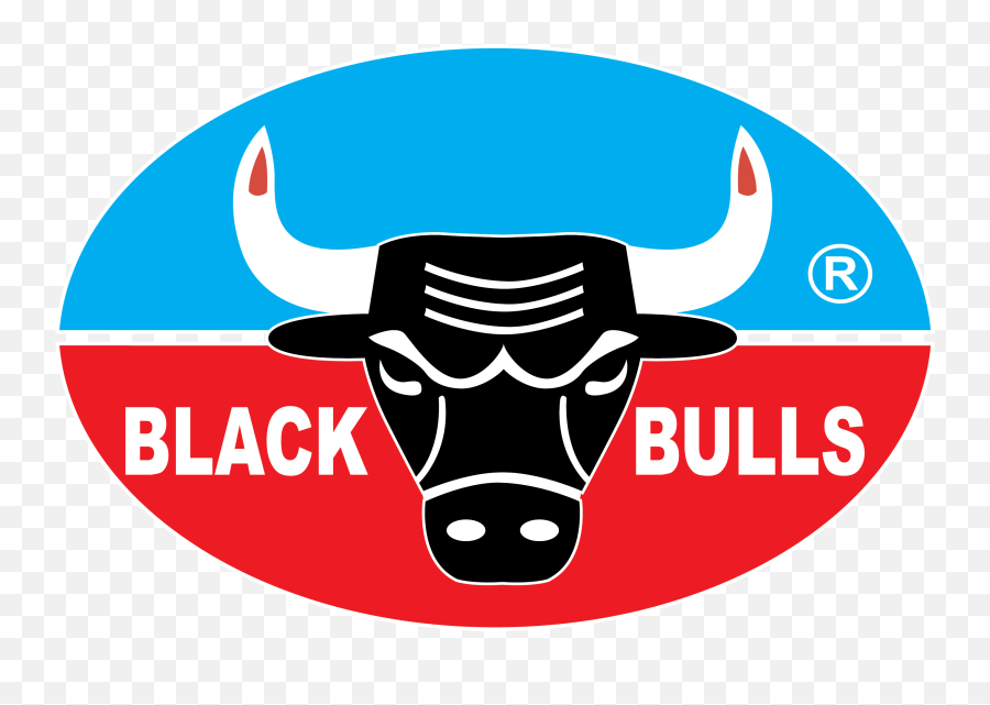 Black - Black Bulls Grease Lubricants Png,Black Bulls Logo