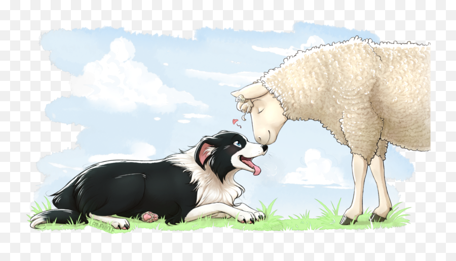 Face Clipart Border Collie Picture - Border Collie Art Png,Border Collie Png