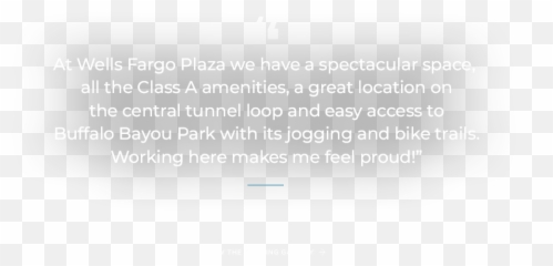 Wells Fargo Plaza - Document png