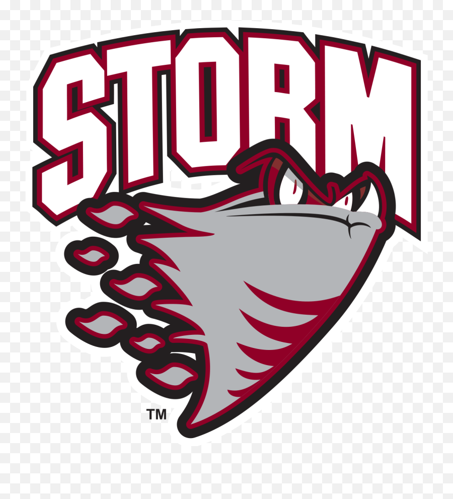 Hurricane Clipart Stormy Day - Guelph Storm Logo Png Guelph Storm Logo Png,Hurricane Transparent