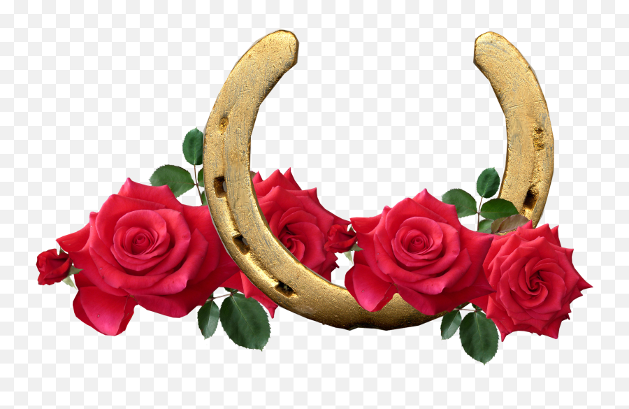 Horse Shoe Red Roses Lucky Romantichorse Png