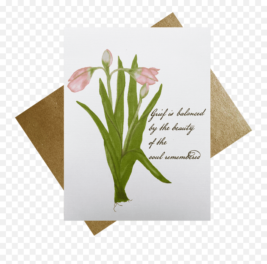 Pink Tulips Sympathy Card - Place Card Png,Tulips Png