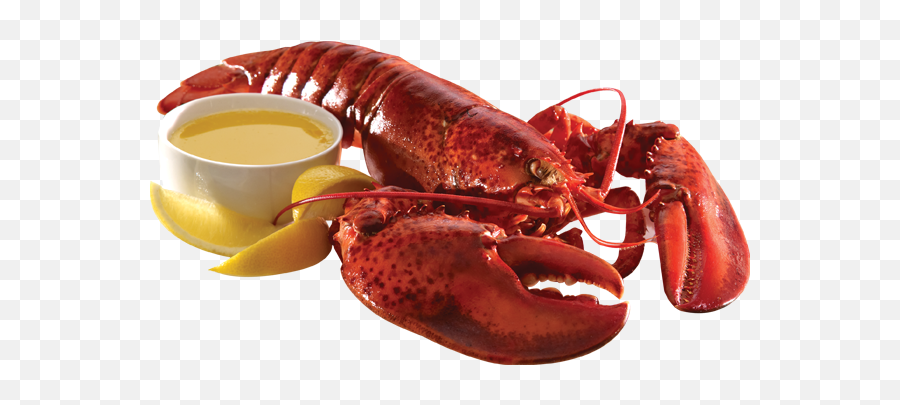 Lobster Png - Lobster Seafood Png,Dinner Png
