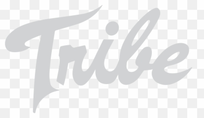 William U0026 Mary Athletics Logos And Marks - Dot png