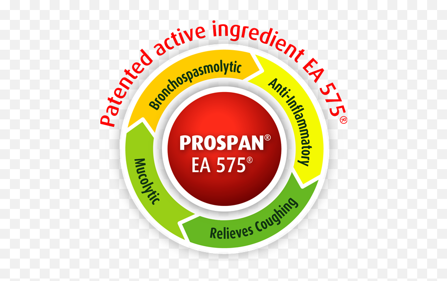 Prospan L Infants And Children Cough Medicine - Hyper Island Png,Syrup Icon